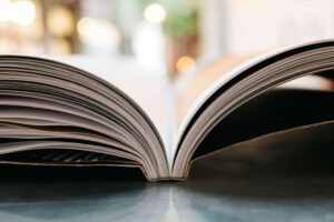 Handbuch Digitalisierung- Auf dem Weg zu Logidtikb4.0